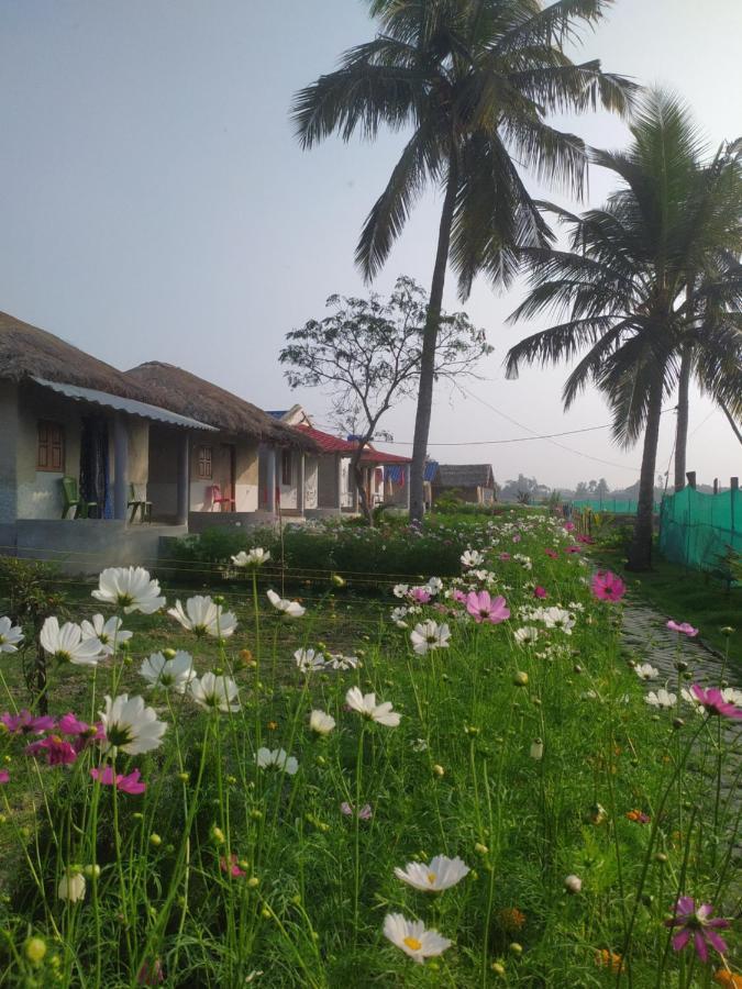 Sundarban Jungle Mahal Resort Gosaba Luaran gambar